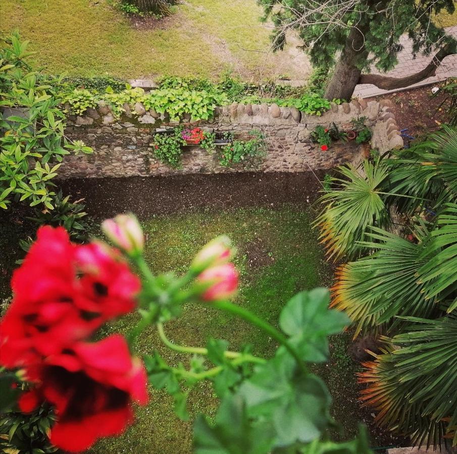 巴多利诺La Casa Di Marzia公寓 外观 照片